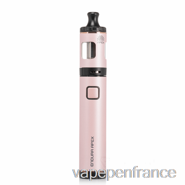 Kit De Démarrage Innokin Endura Apex Stylo Vape Rose